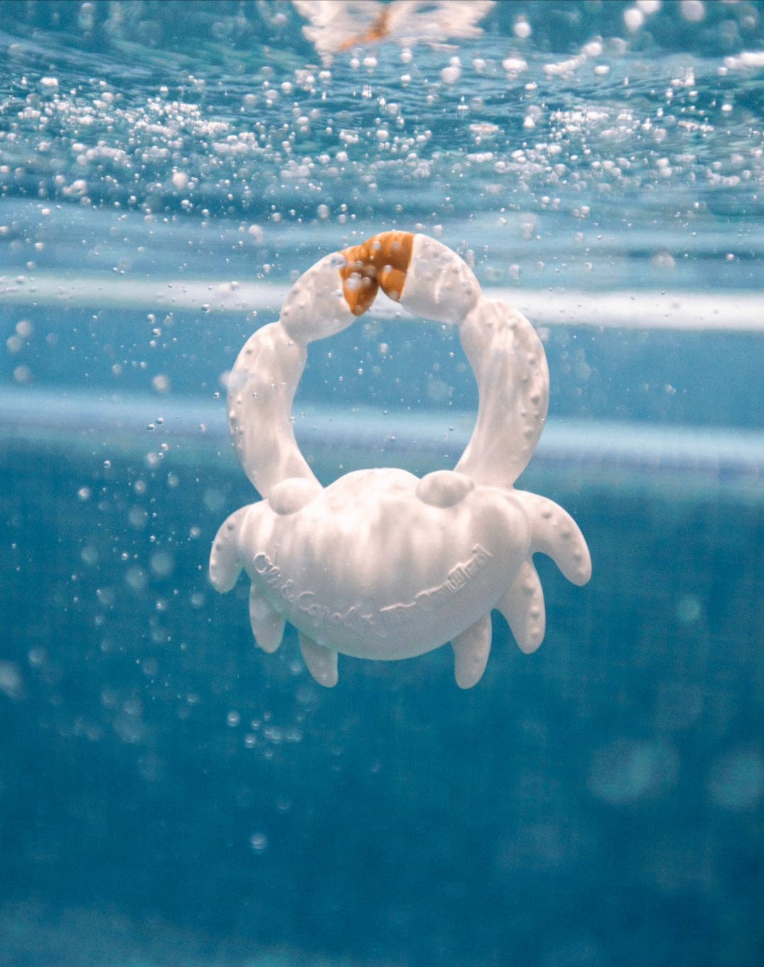 Sharon the Crab
