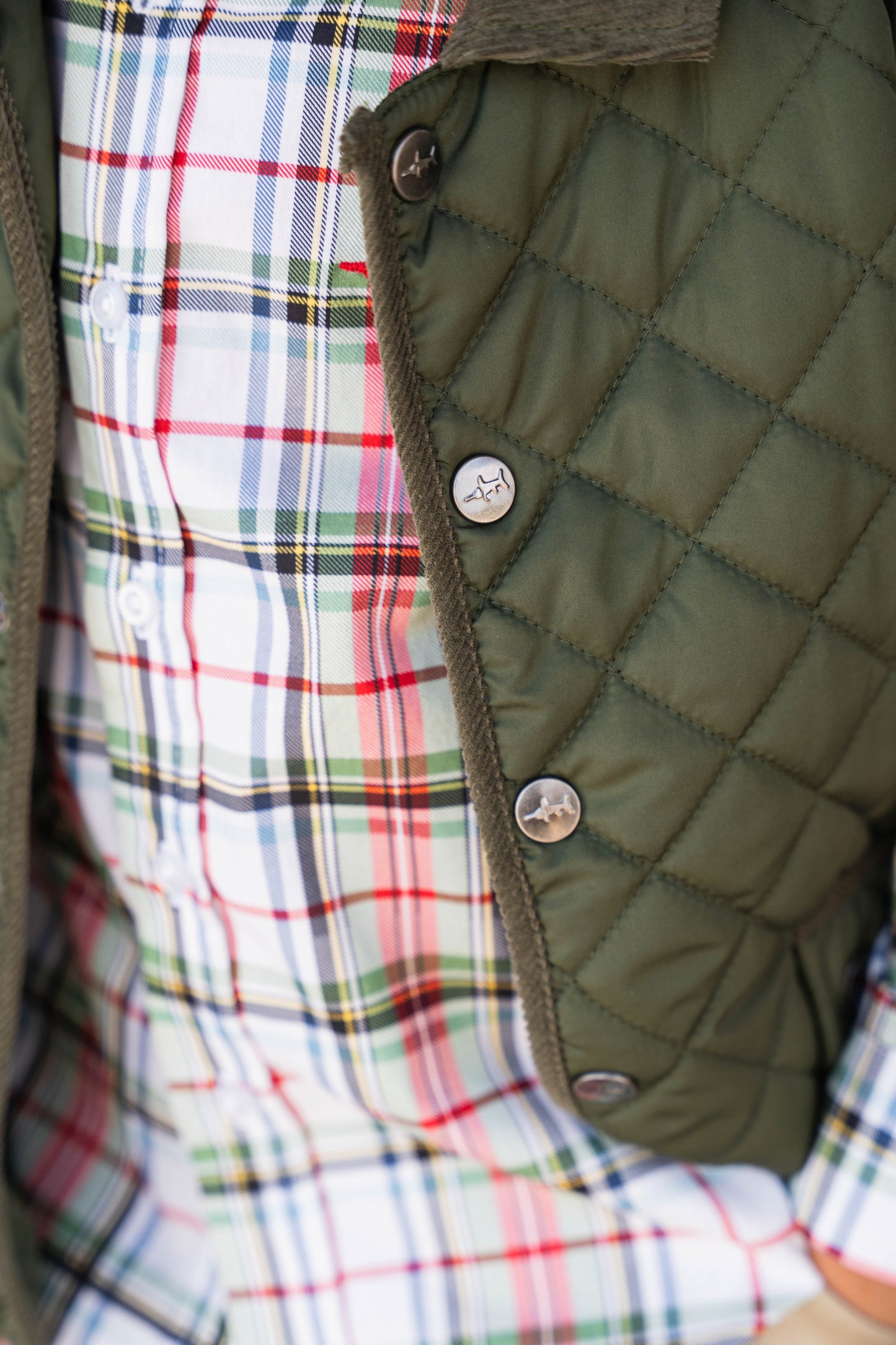 Derby Field Vest Green