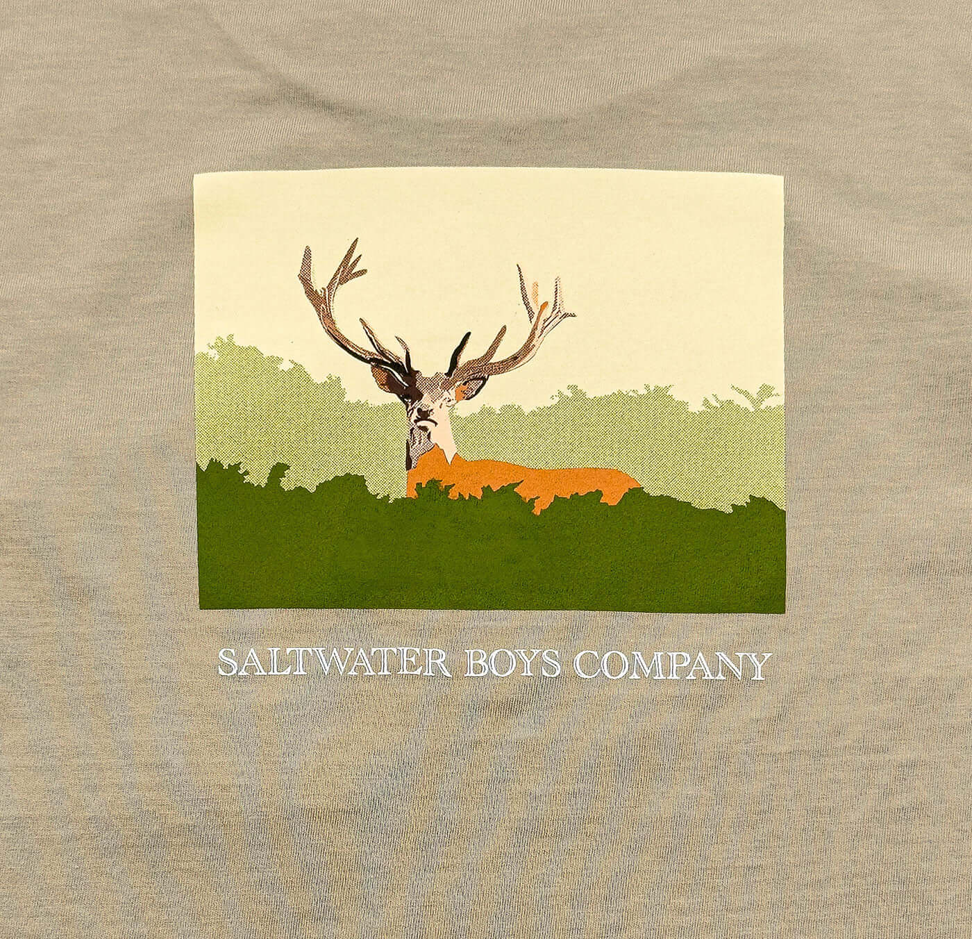 Deer Boys Graphic Tee SS Taupe