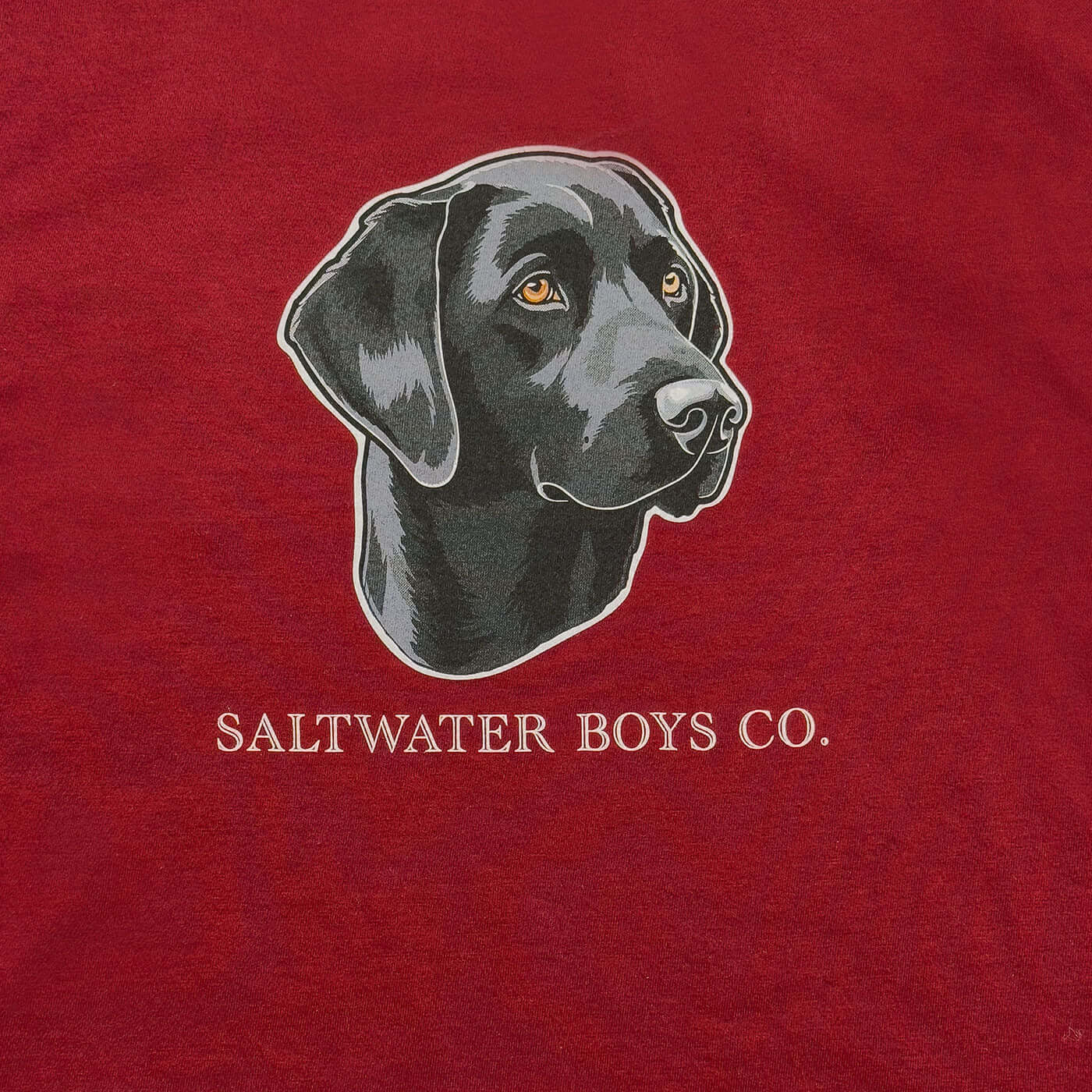 Lab Head Boys Graphic Tee LS Maroon