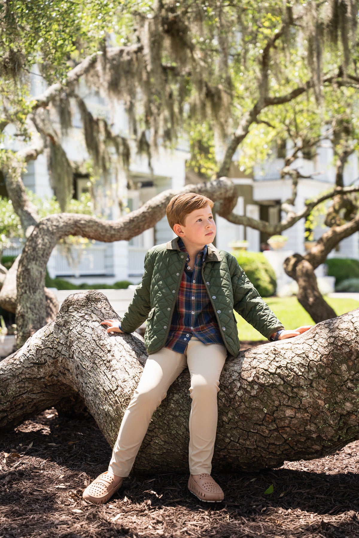 Derby Jacket - Olive