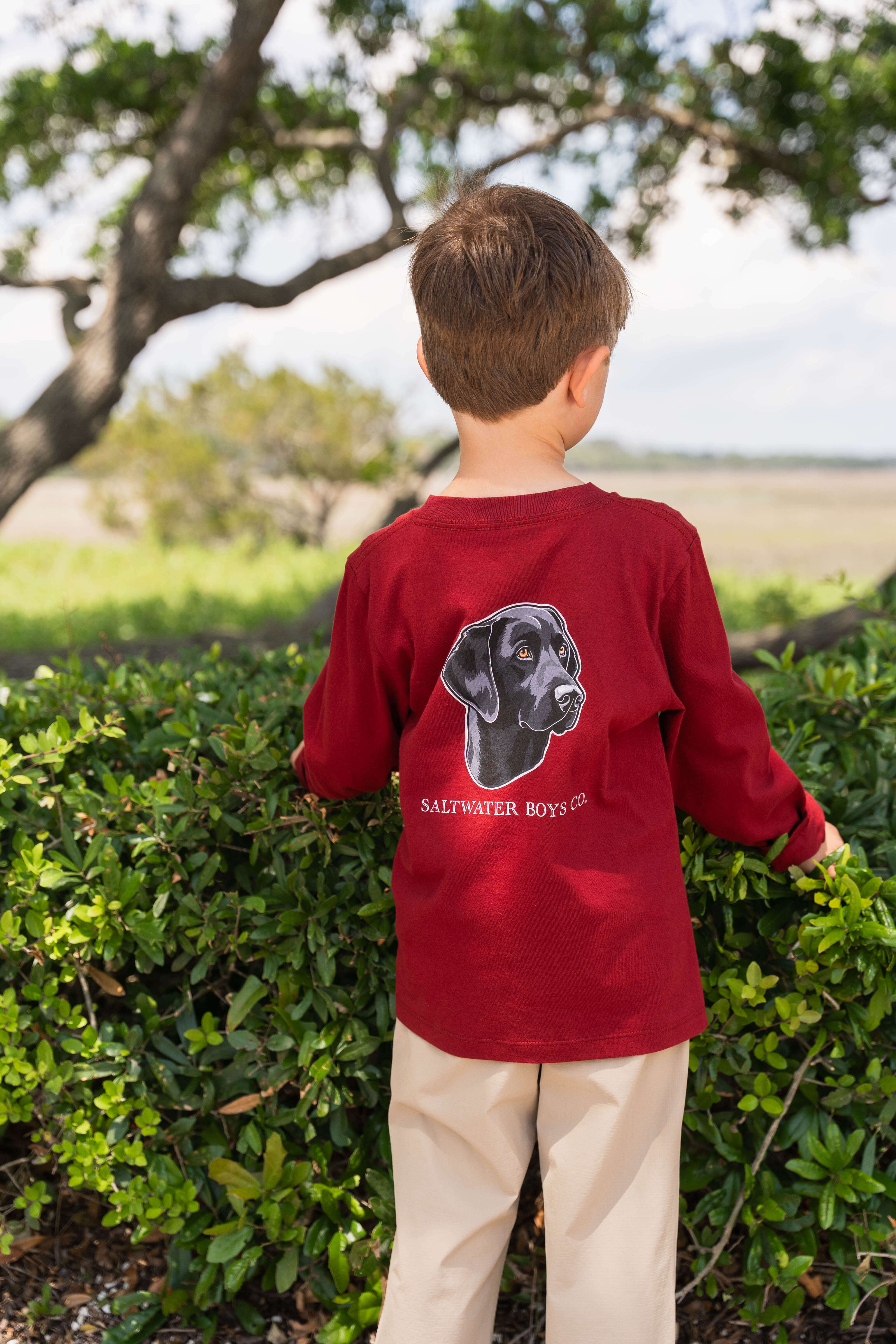 Lab Head Boys Graphic Tee LS Maroon