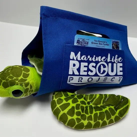 Green Sea Turtle Plush